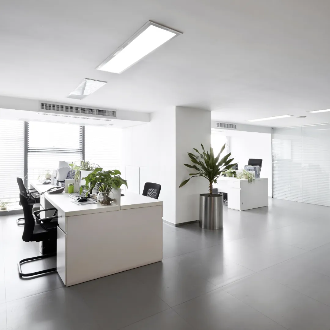 Clean Office