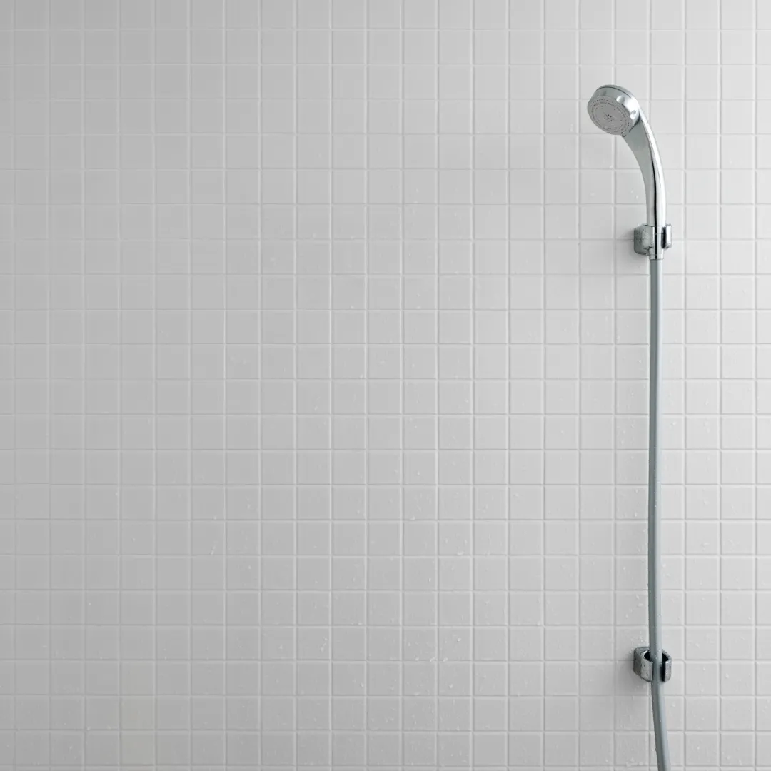 Mosaic Shower Wall